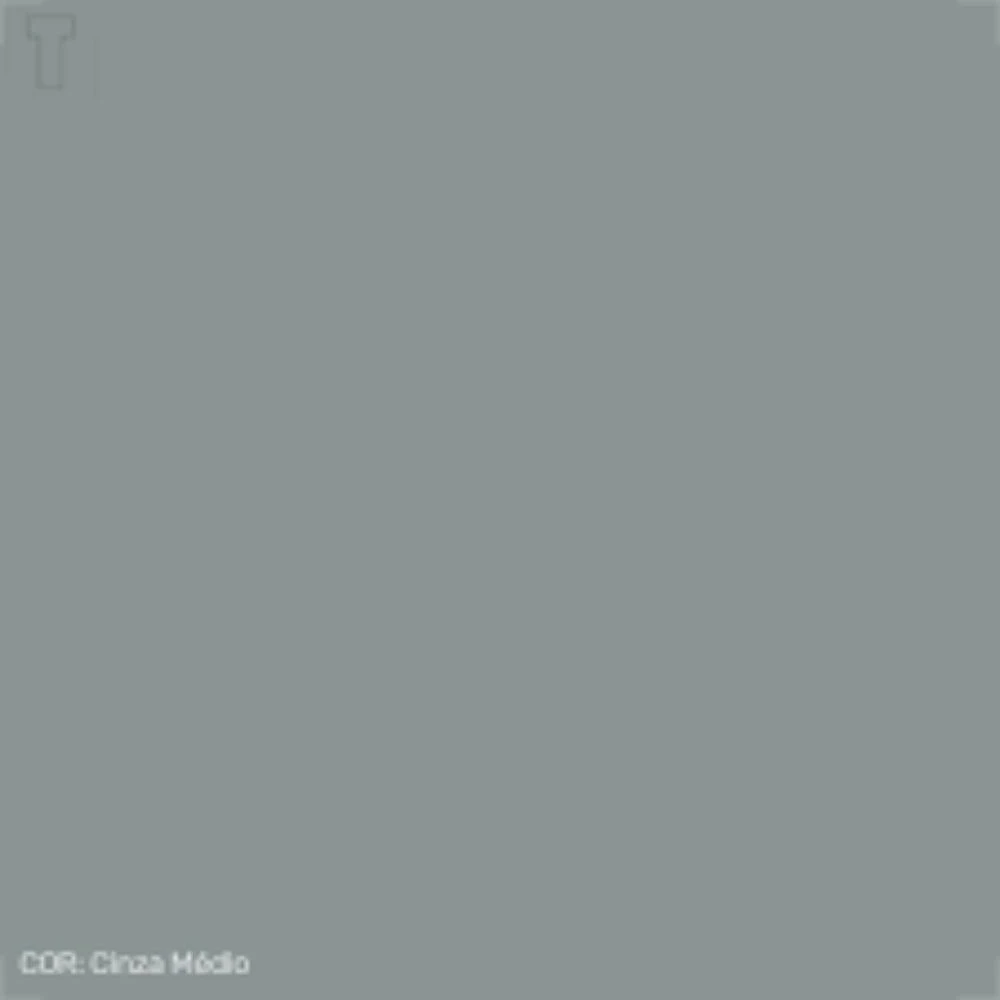 Tinta Std Peg Pinte Esm. Cinza Medio Gl