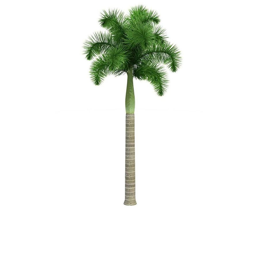 Cadeado Sm Lt 30mm - Pado