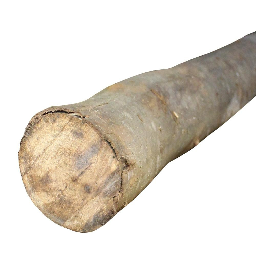 Escora Eucalipto 4 Mts