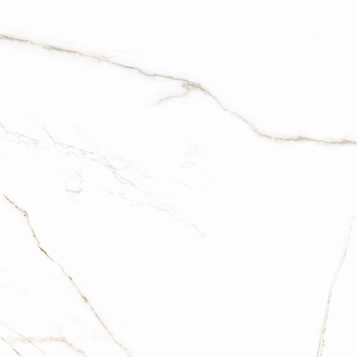 Piso Angelgres Calacata Gold Polido - 71x71 Comercial