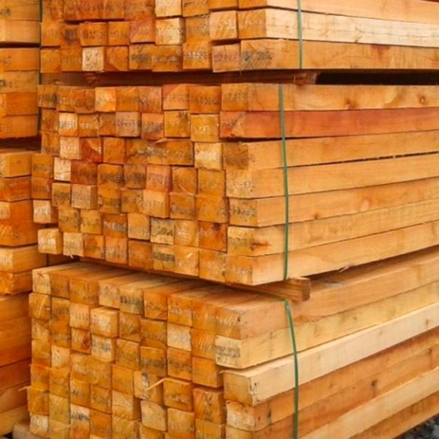 Eucalipto 10x10x2,70