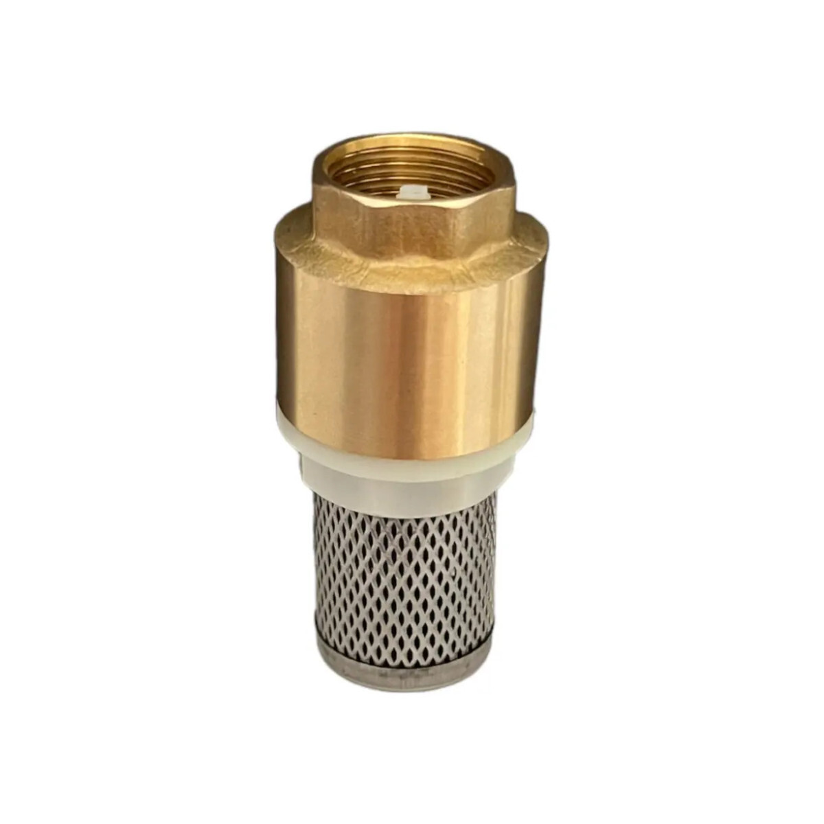 Válvula de Retenção Fundo de Poço com Tela Inox 3/4"
