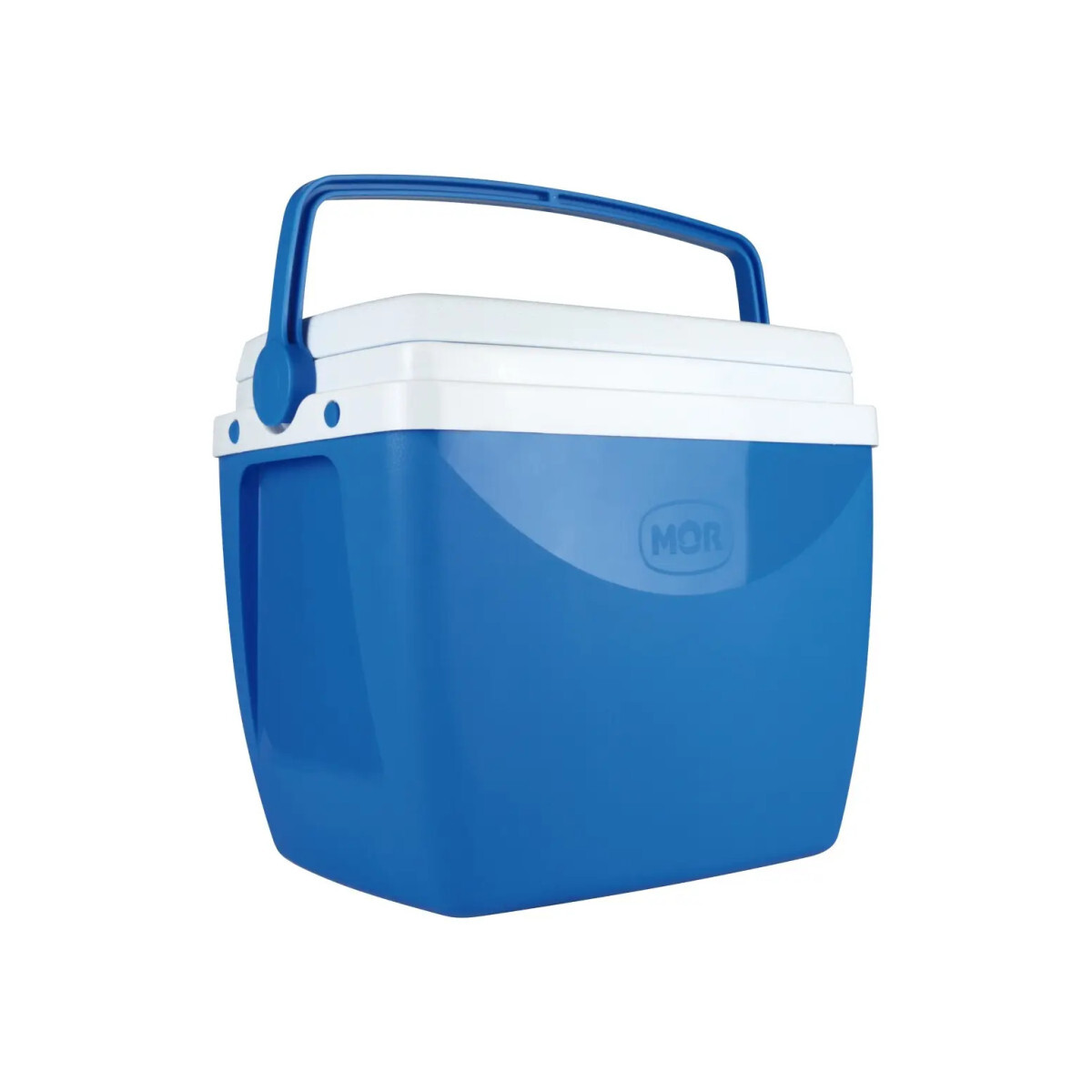 Caixa Termica Cooler Cerveja Camping Praia Piscina 18l Cor V