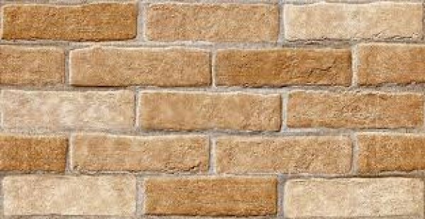 Reverstimento Ceramico 31x60 Silicato Angelgres