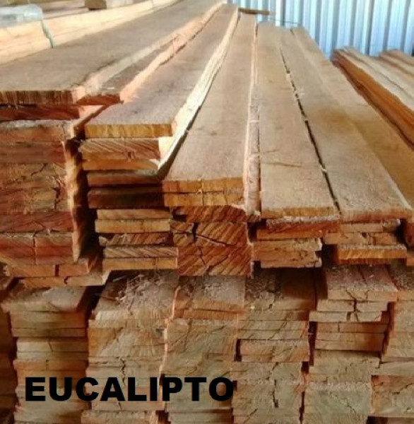 Mad Eucalipto (m3)