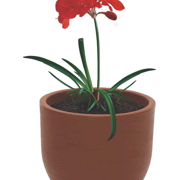 Tramontina Vaso Laos 28cm Marrom 92766109