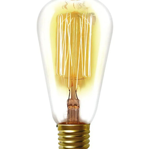 Lampada Filamento Carbono Taschibra 40w 220v T64